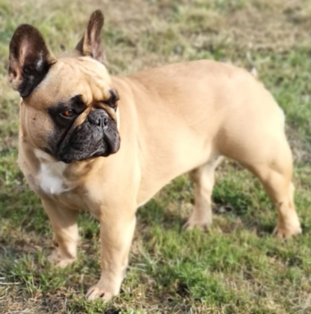 Maïssa Des Trésors Déméter